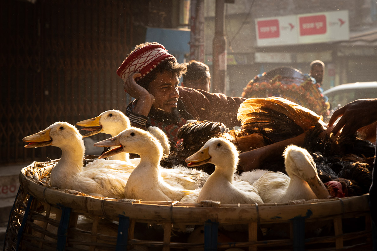 Bangladesh