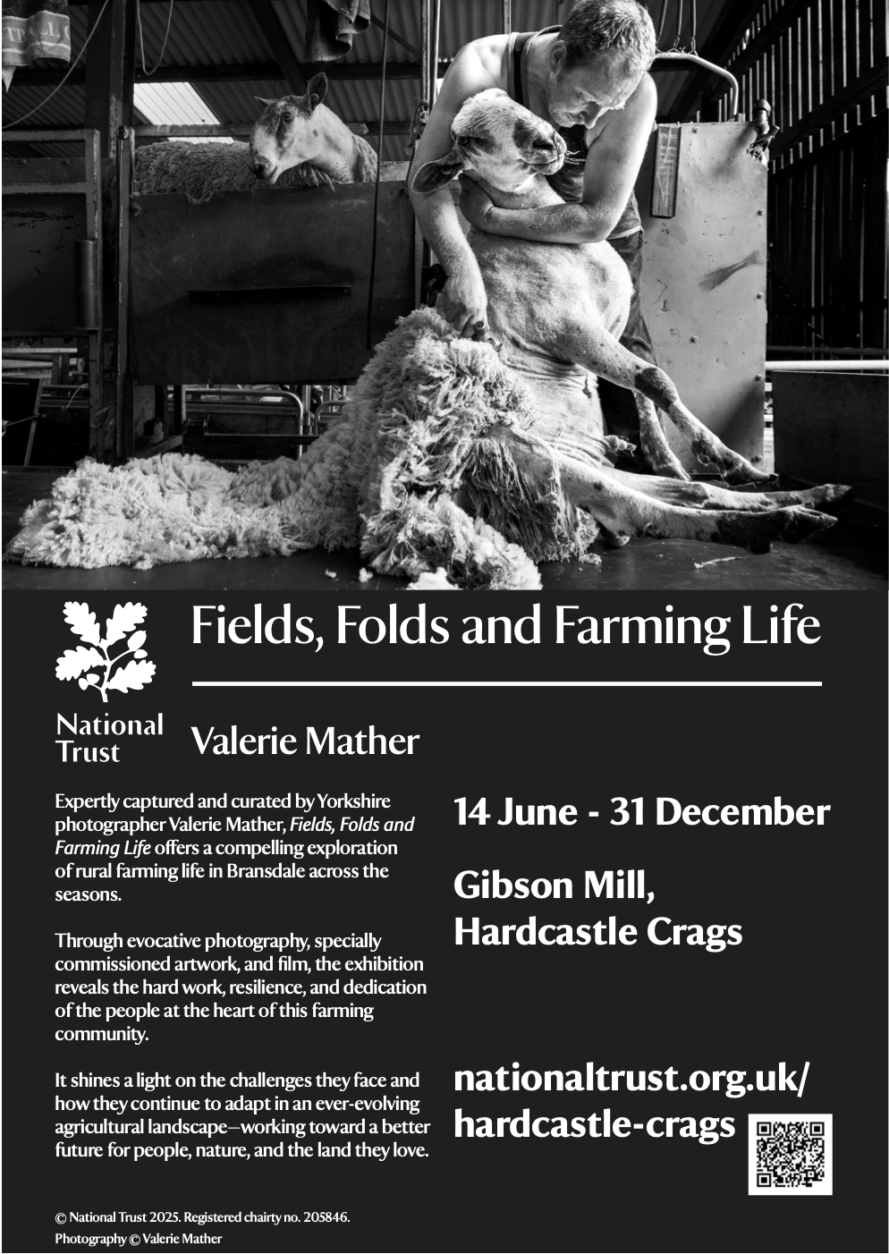 FieldsFolds